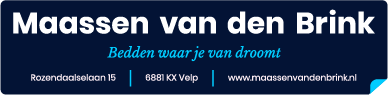 Maassen van den Brink